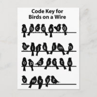 Code-Taste - Vögel auf einem Kabel