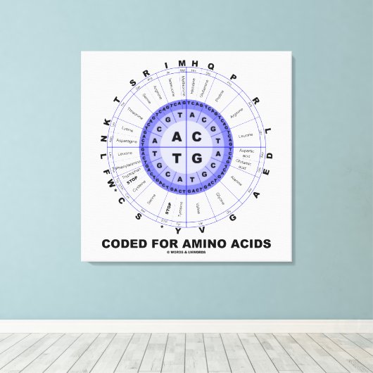 Coded For Amino Acids (Genetic Code DNA) Leinwanddruck (Insitu (Holzboden))