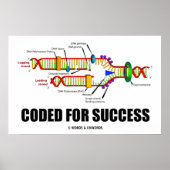 Coded for Success DNA Replication Spaß Poster (Vorne)