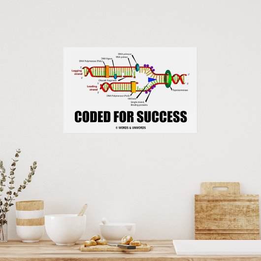 Coded for Success DNA Replication Spaß Poster (Küche)