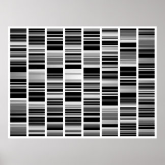 Codex Poster