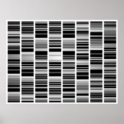 Codex Poster (Vorne)