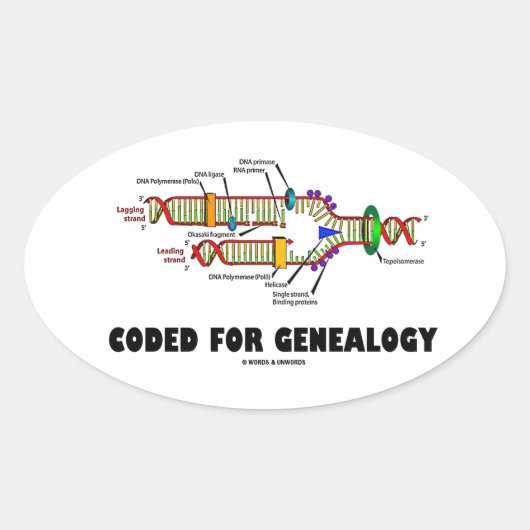 Codiert für die Genealogie (DNA-Replikation) Ovaler Aufkleber (Vorderseite)