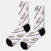 Codiert für DNA-Replikation in Genealogie Socken (Linkes Detail)