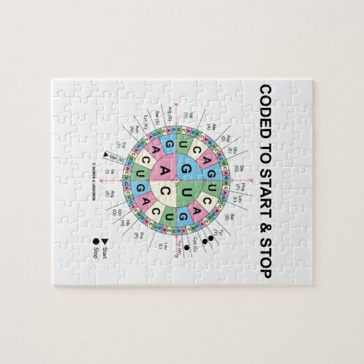 Codiert für Start und Stopp (Codon Wheel) Puzzle (Horizontal)