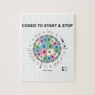Codiert für Start und Stopp (Codon Wheel) Puzzle