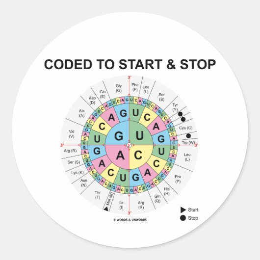 Codiert für Start und Stopp (Codon Wheel) Runder Aufkleber (Vorderseite)