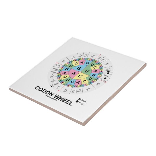 Codon-Rad (RNS Codons-Aminosäuren) Fliese (Seite)