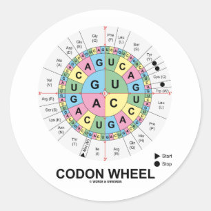 Codon-Rad (RNS Codons-Aminosäuren) Runder Aufkleber