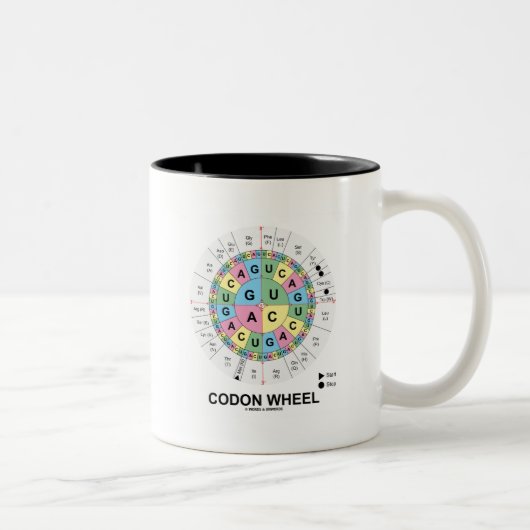 Codon-Rad (RNS Codons-Aminosäuren) Zweifarbige Tasse (Rechts)