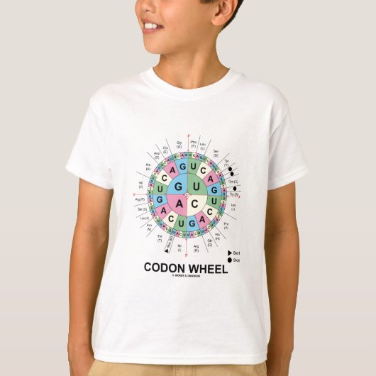 Codon Wheel (RNA Codons Amino Acids) T-Shirt (Vorderseite)