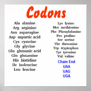 Codons Poster