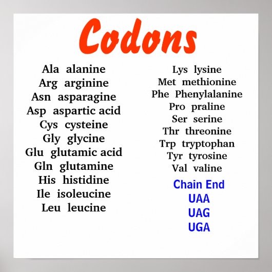 Codons Poster (Vorne)