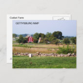CODORI FARM POSTKARTE (Vorne/Hinten)