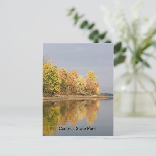 Codorus Staat Park Postkarte (Stehend Vorderseite)