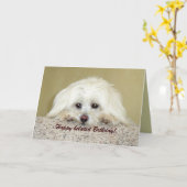 'Cody' Grußkarte Glücklich verspätete Geburtstag! Karte (Gelbe Blume)