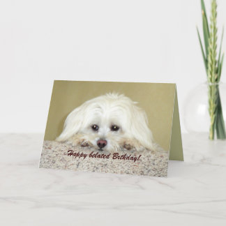 'Cody' Grußkarte Glücklich verspätete Geburtstag! Karte