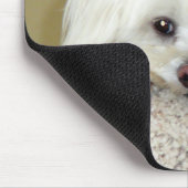 "CODY" süßes LittleMaltese Foto an der Spitze der Mousepad (Ecke)