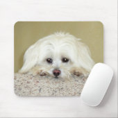 "CODY" süßes LittleMaltese Foto an der Spitze der Mousepad (Mit Mouse)