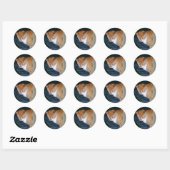 Cody the Cat Stickers (Blatt)