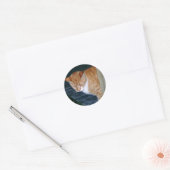 Cody the Cat Stickers (Umschlag)