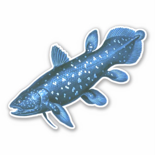 Coelacanth Aufkleber (Vorderseite)