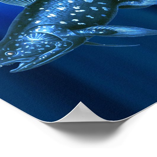 Coelacanth Poster (Ecke)