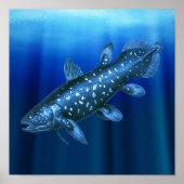 Coelacanth Poster (Vorne)