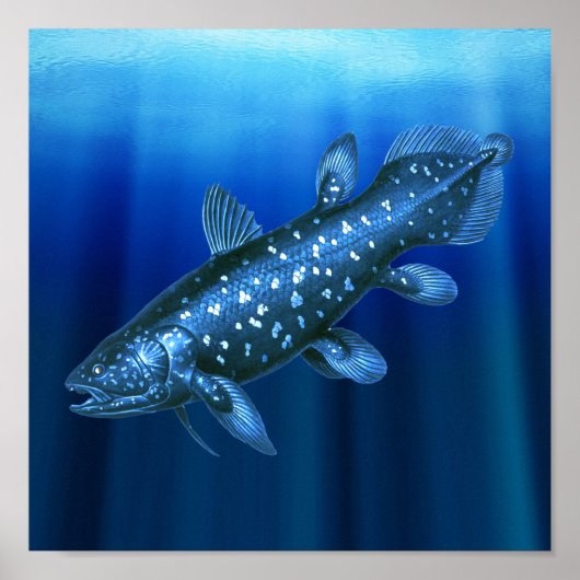 Coelacanth Poster (Vorne)