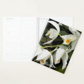 Coelogyne Mooreana Orchid Blooms Floral Planer (Anzeige)