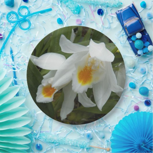 Coelogyne Mooreana Orchids Floral Pappteller (Party)