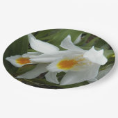 Coelogyne Mooreana Orchids Floral Pappteller (Schrägansicht)