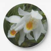 Coelogyne Mooreana Orchids Floral Pappteller (Vorderseite)