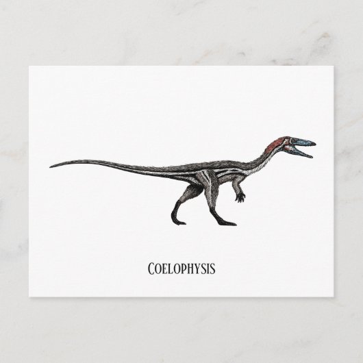 Coelophysis dinosaurier postkarte (Vorderseite)
