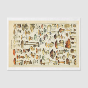 Coessecore Mushrooms Vintag Naturalist Decoupage Seidenpapier