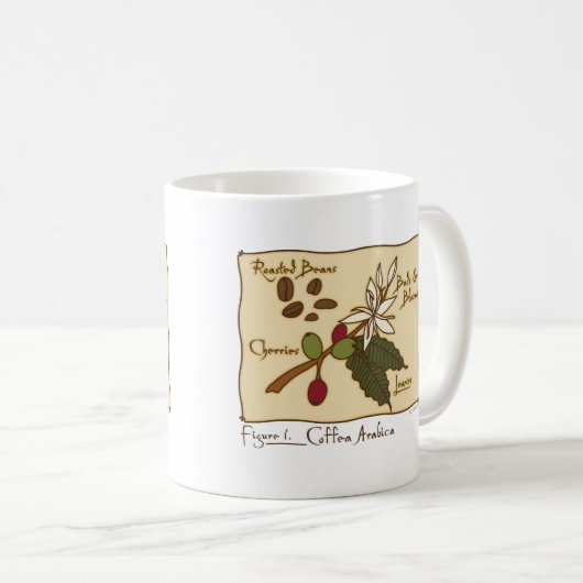 Coffea-Arabica Kaffeetasse (VorderseiteRechts)