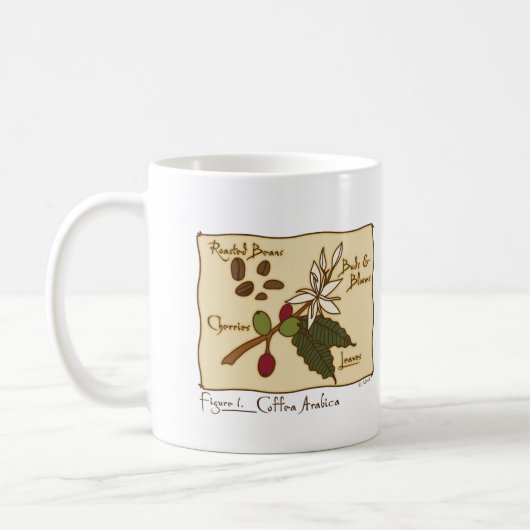 Coffea-Arabica Kaffeetasse (Links)