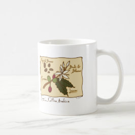 Coffea-Arabica Kaffeetasse