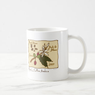 Coffea-Arabica Kaffeetasse