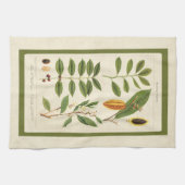 Coffee Antique Tee Botanische Getränke Pflanze Cha Handtuch (Horizontal)