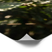 COFFEE - AROMA DELICIOSO POSTER (Ecke)