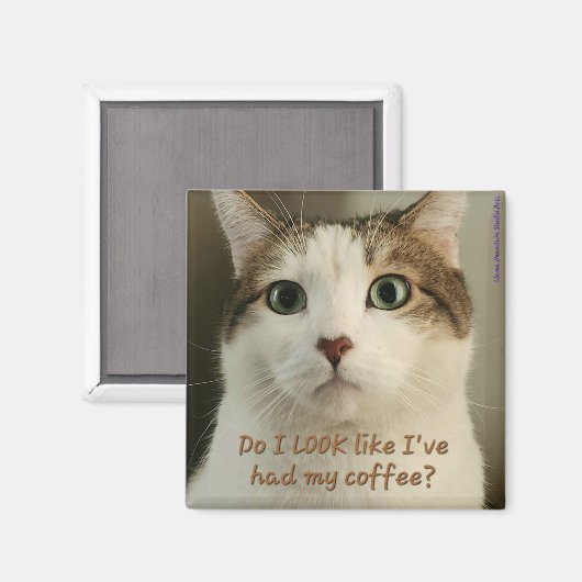 Coffee Cat Magnet #2 - Shuri (Vorderseite/Rückseite)