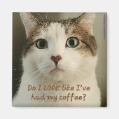 Coffee Cat Magnet #2 - Shuri (Vorne)