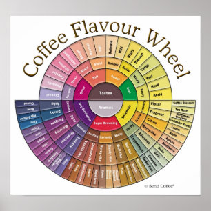 Coffee Flavor Wheel Wall Art - Große Poster