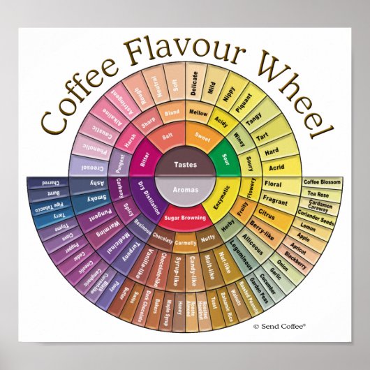 Coffee Flavor Wheel Wall Art Poster (Vorne)