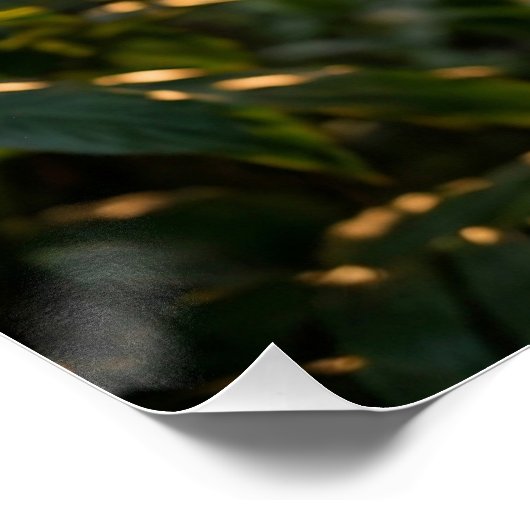 COFFEE QUEEN POSTER (Ecke)