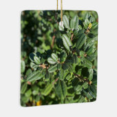 Coffeenbeere Keramikornament (Rechts)