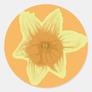Coffodil Orange Yellow Stickers