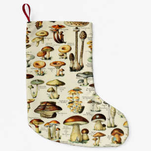 Cogagecore Mushrooms Vintag Naturalist Kleiner Weihnachtsstrumpf