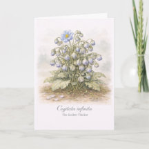 Cogitata infinita - Der endlose Denker Botanisch